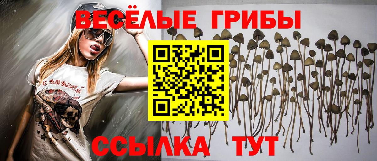 Галлюциногенные грибы прущие грибы  Вход с VPN  Галлюциногенные грибы Magic Shrooms  Вязники 