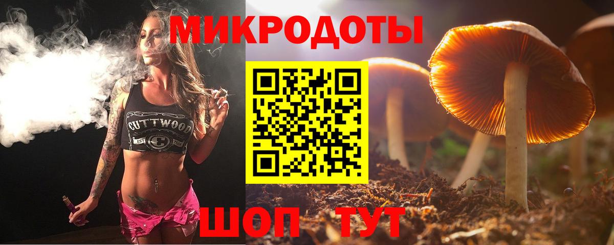 Галлюциногенные грибы Psilocybine cubensis Вязники